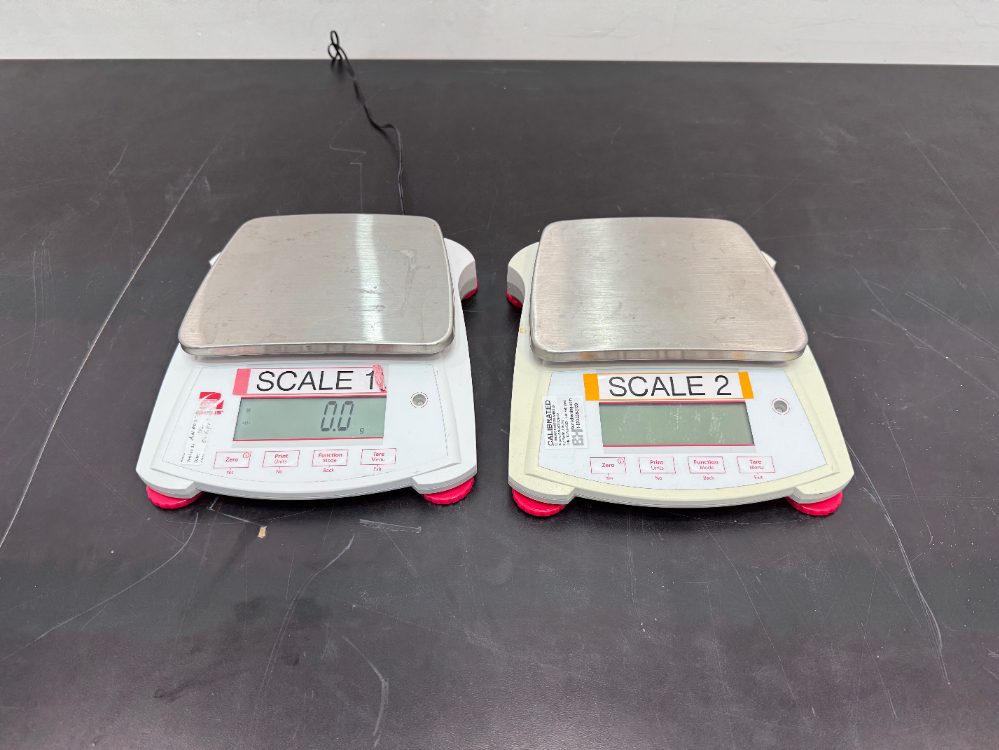 Image of OHAUS Scout Digital Scale Quantity 2
